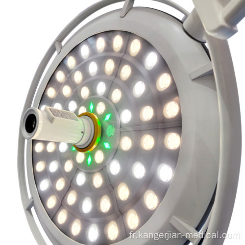 Assurance qualité classe I Instrument Medical Double Dome Cold Fight Surgery LED Operation Light E700 / 700